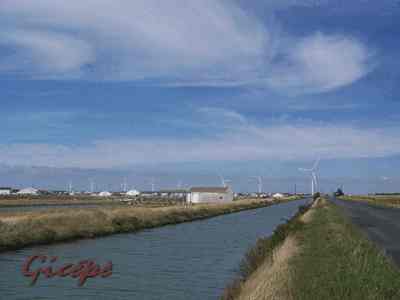 Marais et éoliennes à Bouin (85)